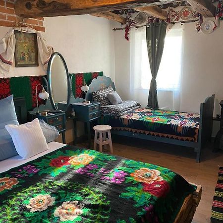 Ferienwohnung Casa Cezara Silvasu de Jos Exterior foto