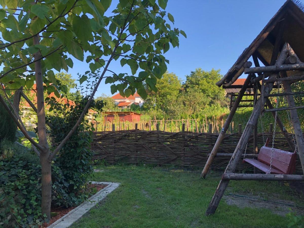 Ferienwohnung Casa Cezara Silvasu de Jos Exterior foto