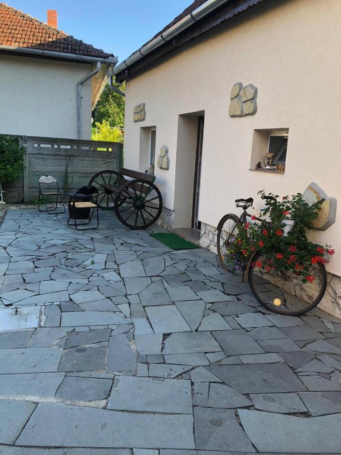 Ferienwohnung Casa Cezara Silvasu de Jos Exterior foto