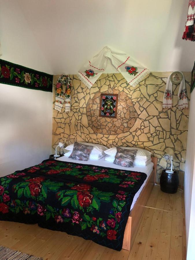 Ferienwohnung Casa Cezara Silvasu de Jos Exterior foto