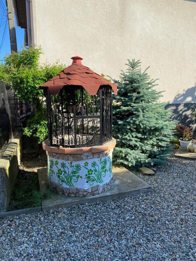 Ferienwohnung Casa Cezara Silvasu de Jos Exterior foto