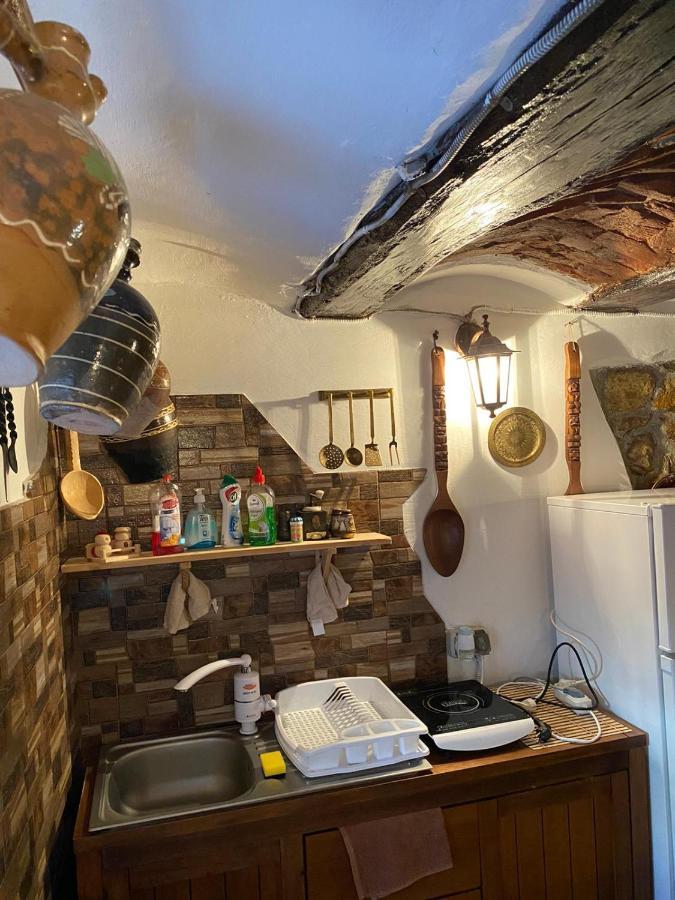 Ferienwohnung Casa Cezara Silvasu de Jos Exterior foto