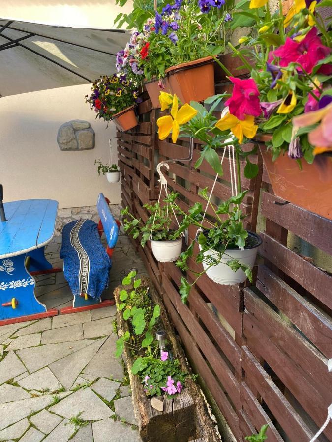 Ferienwohnung Casa Cezara Silvasu de Jos Exterior foto