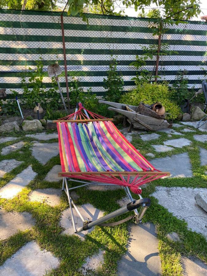 Ferienwohnung Casa Cezara Silvasu de Jos Exterior foto