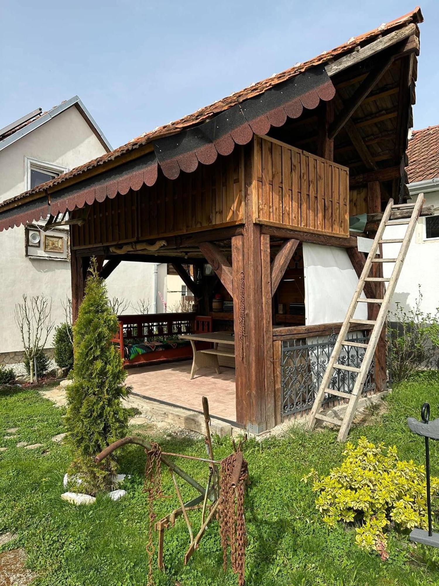 Ferienwohnung Casa Cezara Silvasu de Jos Exterior foto
