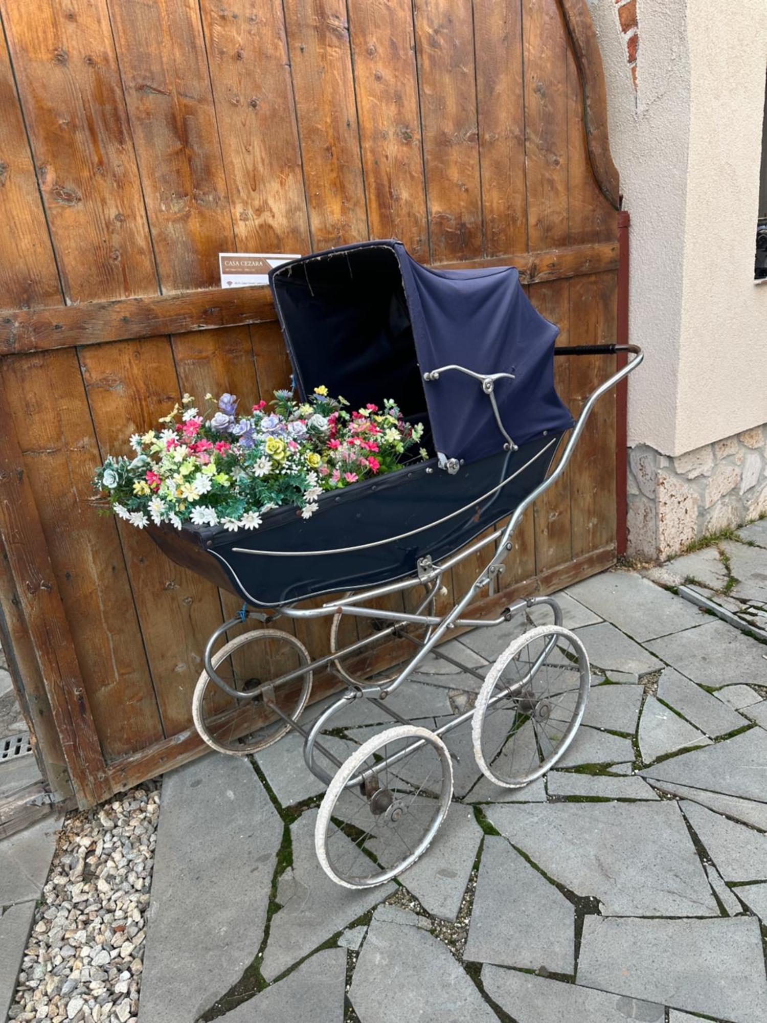 Ferienwohnung Casa Cezara Silvasu de Jos Exterior foto