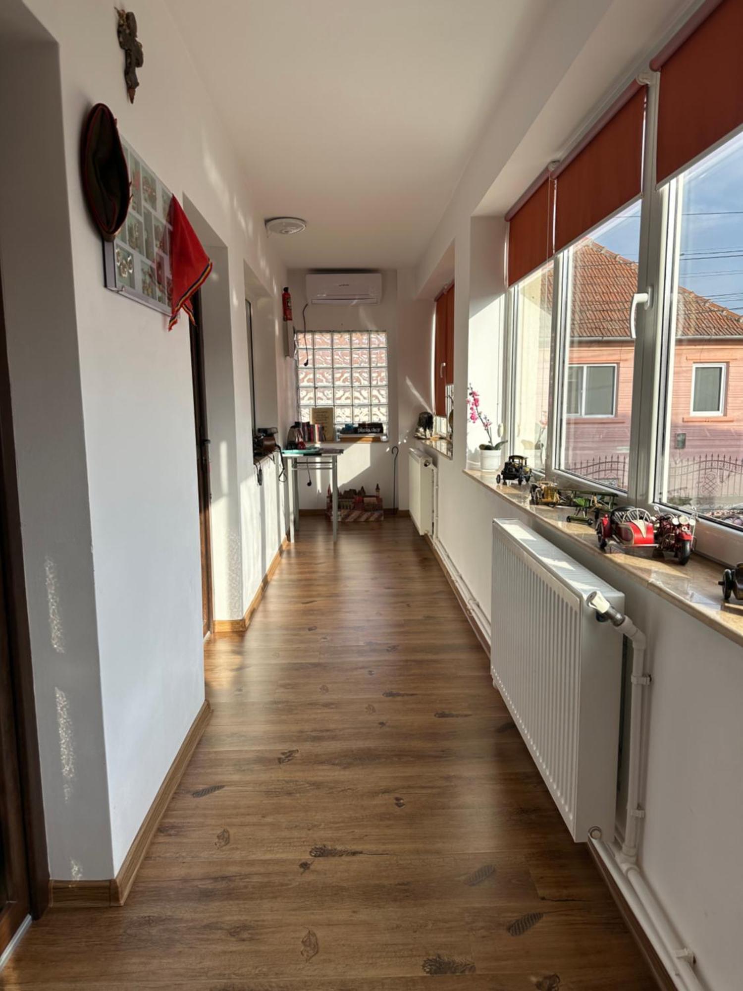 Ferienwohnung Casa Cezara Silvasu de Jos Exterior foto