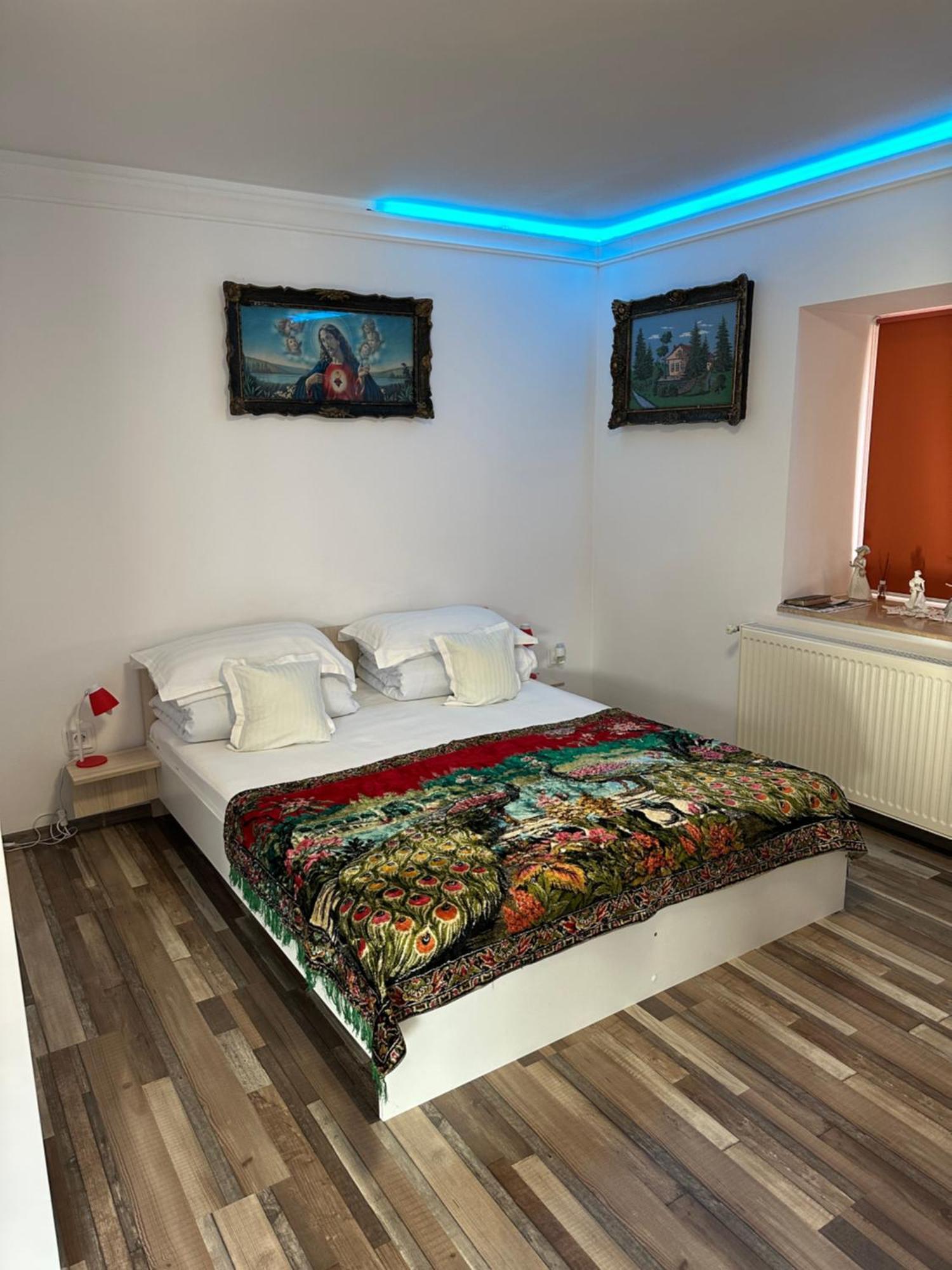 Ferienwohnung Casa Cezara Silvasu de Jos Exterior foto