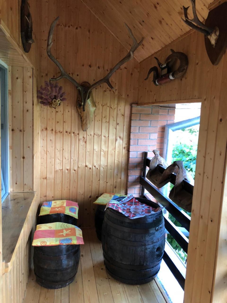 Ferienwohnung Casa Cezara Silvasu de Jos Exterior foto