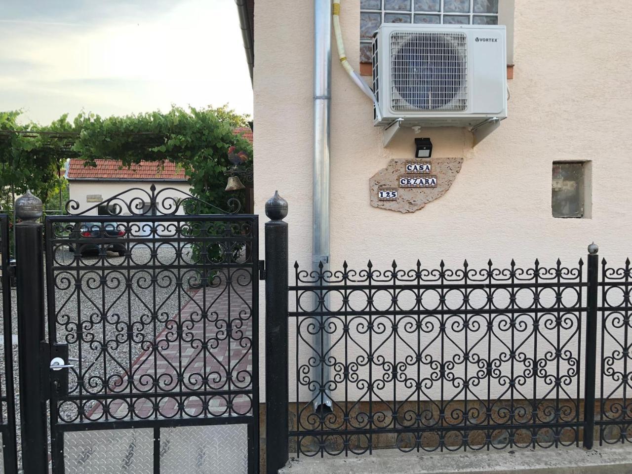 Ferienwohnung Casa Cezara Silvasu de Jos Exterior foto