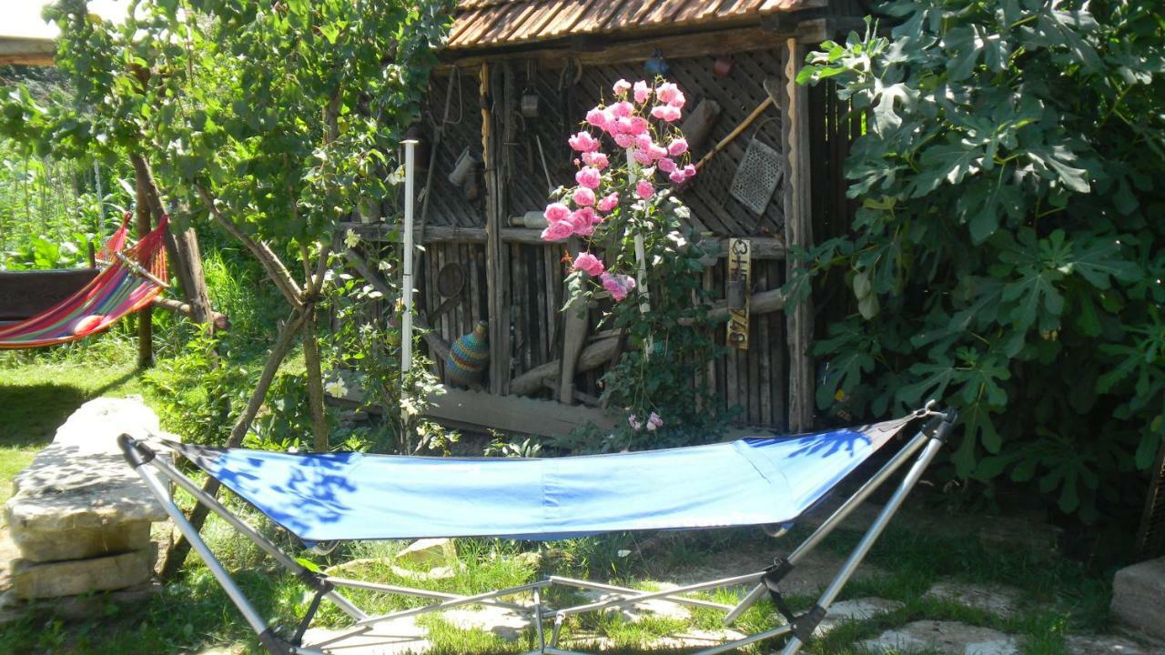 Ferienwohnung Casa Cezara Silvasu de Jos Exterior foto